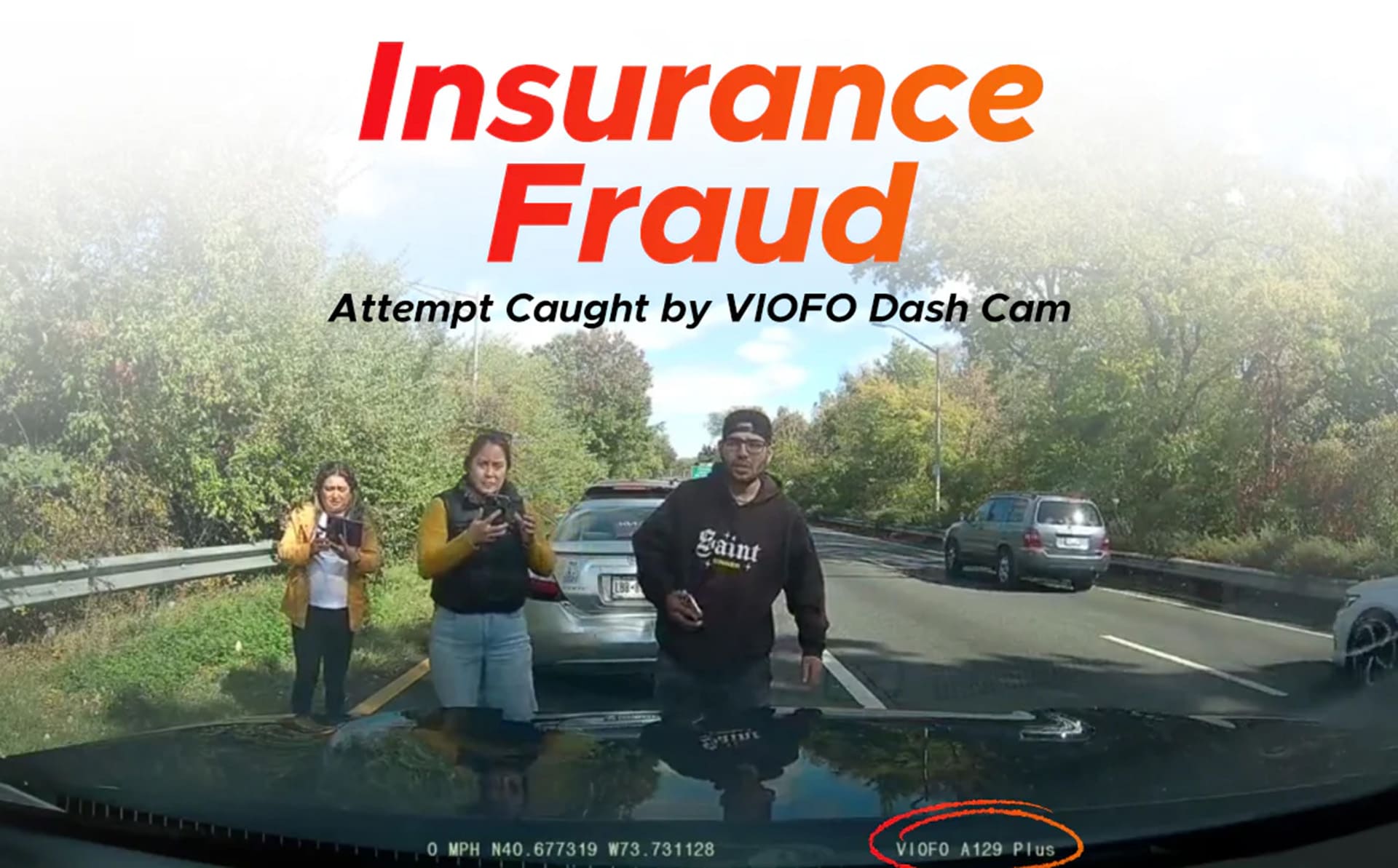 Insurance_Fraud
